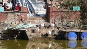 Patan Nepal Oies Pim Bahal Pokhari