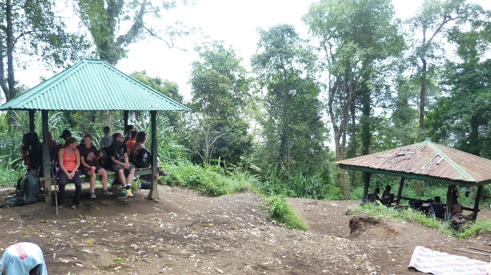 Repos à l'abri dans la forêt