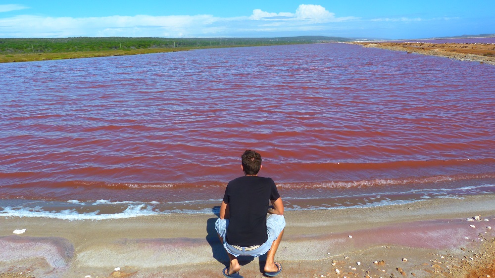 Lac rose de Port Gregory