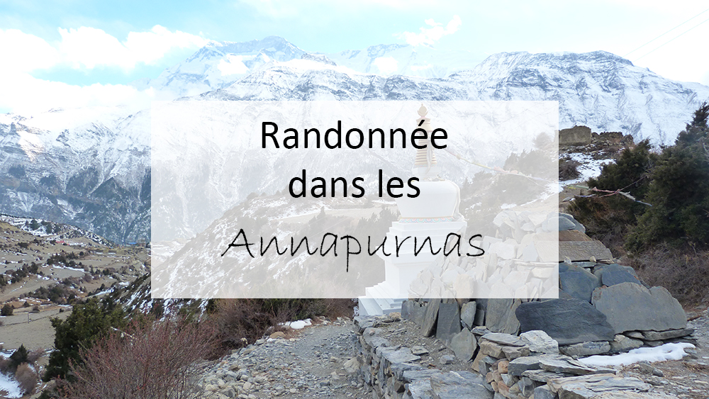 Randonnée dans les Annapurnas