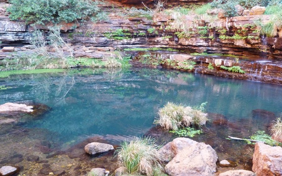 Circular Pool