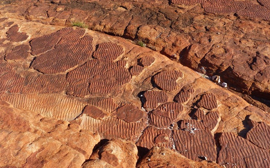 Des traces d'eau fossilisées