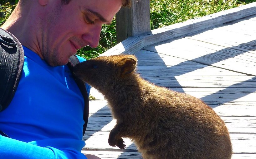 J'essaie de me faire un copain Quokka