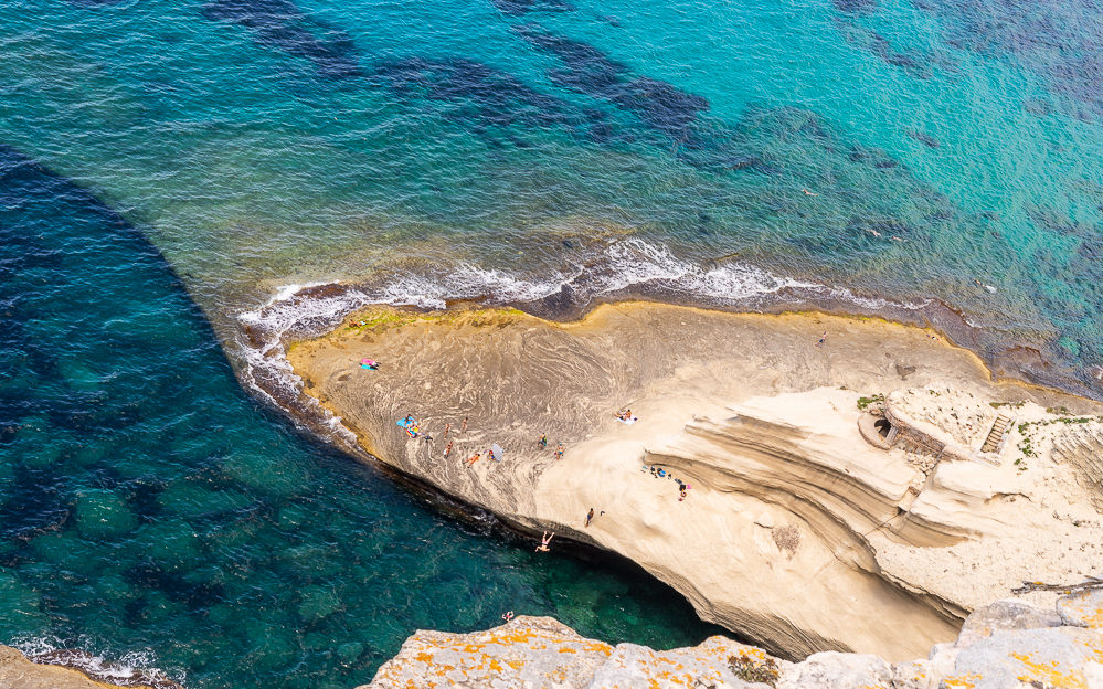 Il y a des phoques à Bonifacio ?