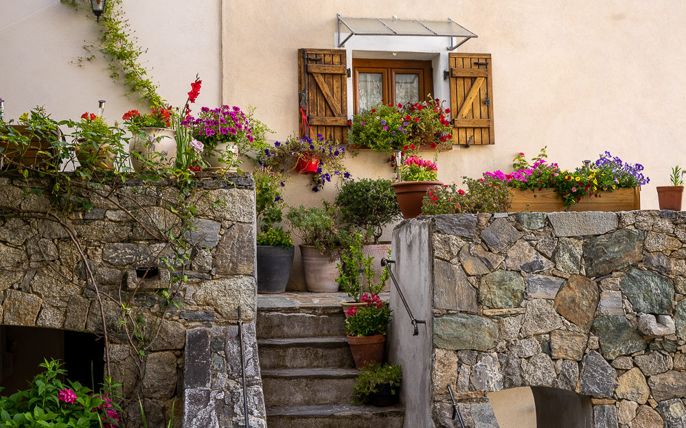 Terrasse fleurie