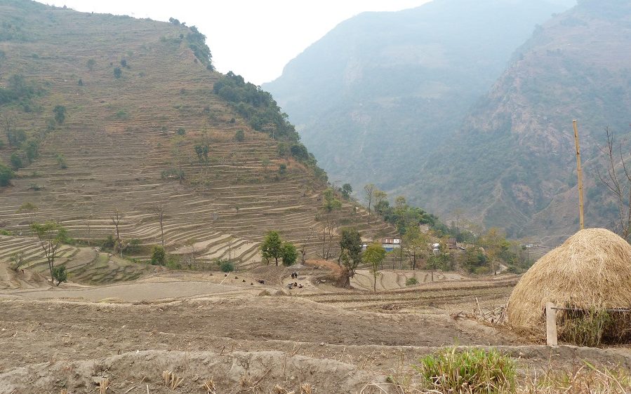 Les rizières de basse montagne