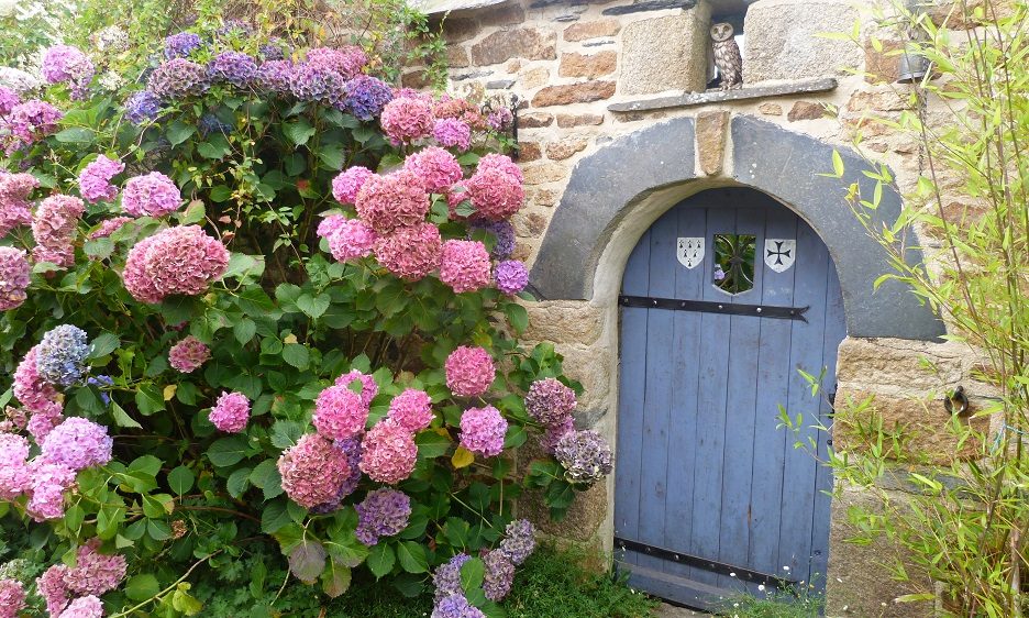 Monts arree maison granit hortensia finistere