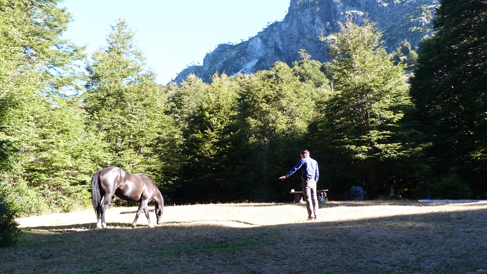 huerquehue chevaux camping pucon