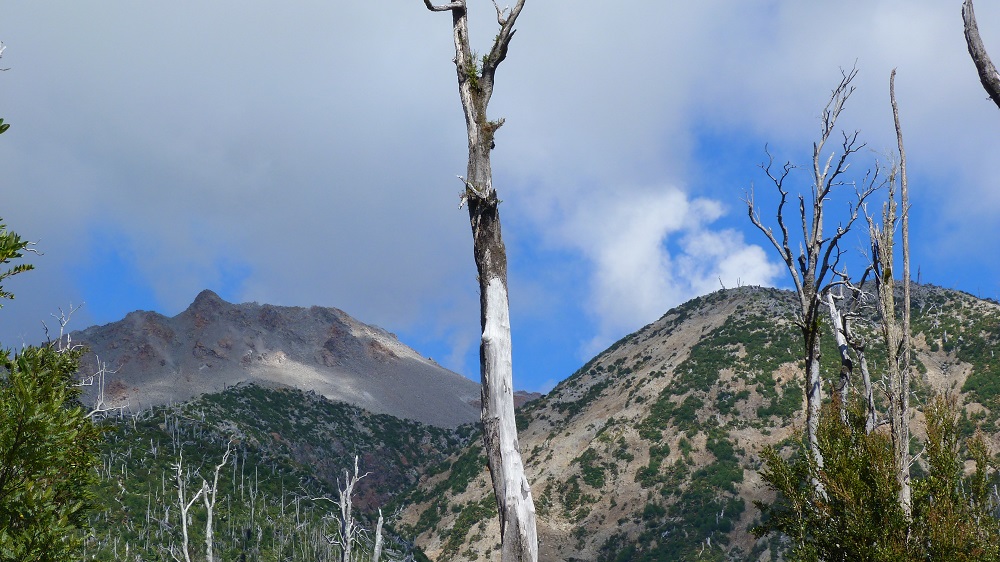 Pumalin volcan chaiten patagonie