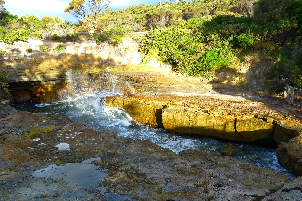 Tasmanie devil pool