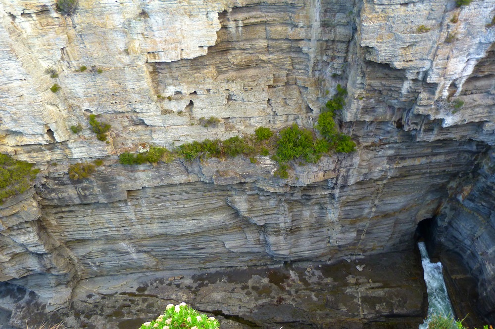 Tasmanie devils kitchen