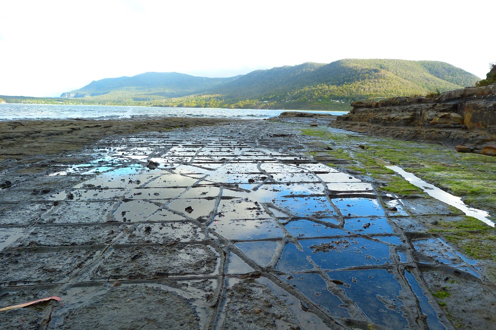 Tasmanie tessalated pavements