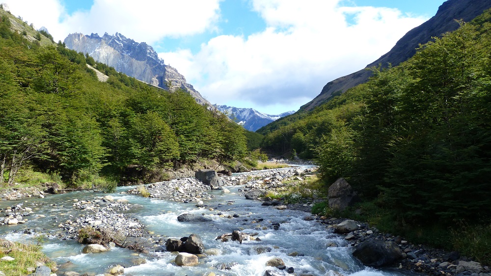 Torres del paine rivière