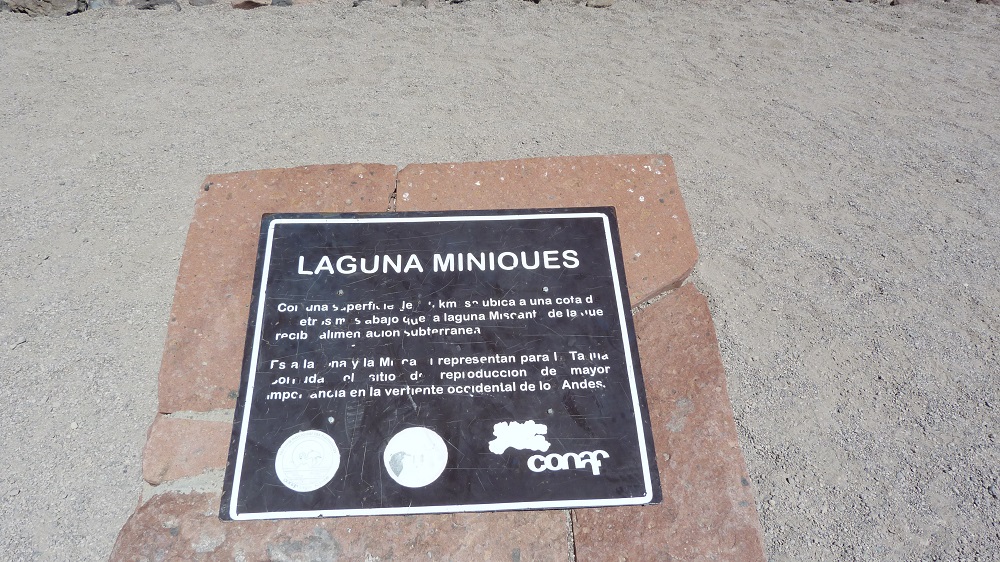 Laguna Miniques