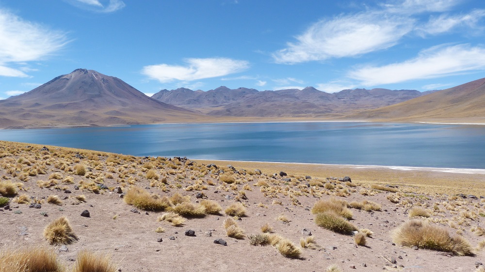 Laguna Miscanti Volcan