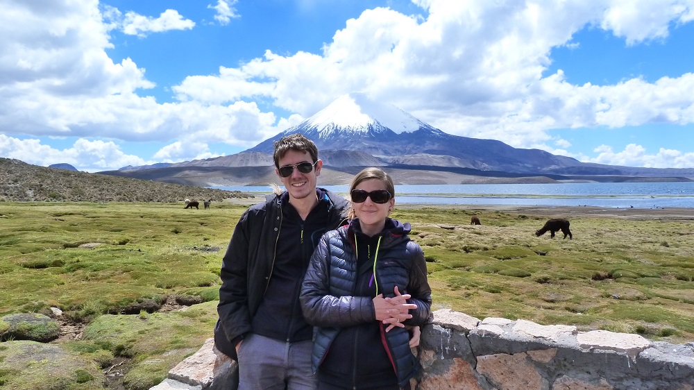 Parinacota alpagas lauca