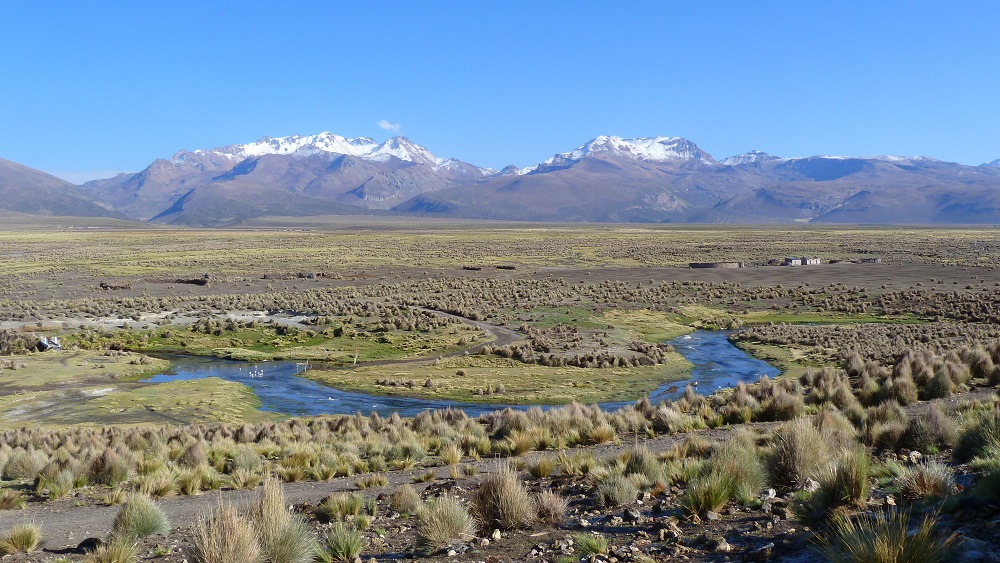 parc national sajama bolivie