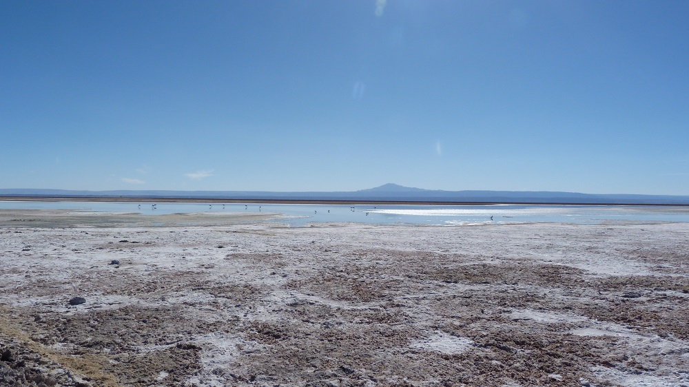 salar de atacama sel