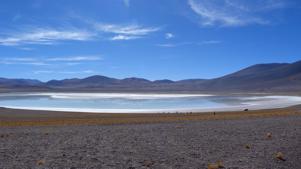 salar de tara