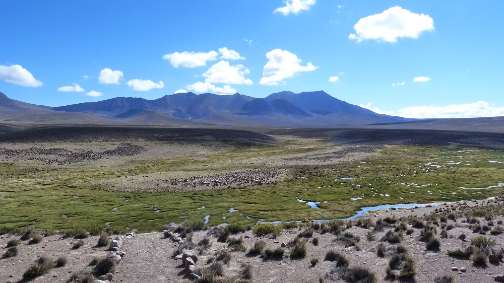 sendero las cuevas lauca