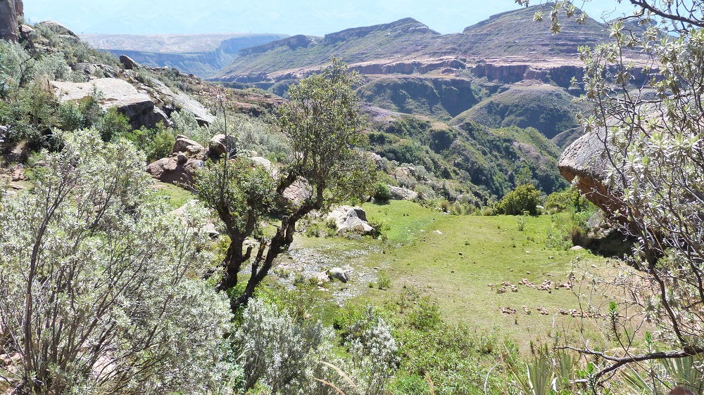 Canyon ciudad de itas