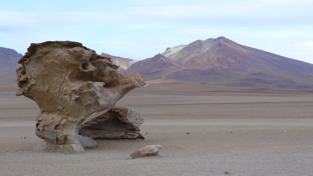 arbol de piedra lipez