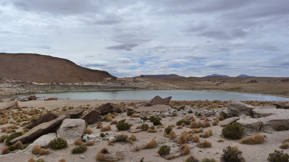 laguna negra nor lipez