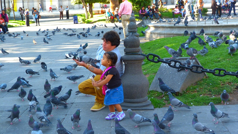 Arequipa Plaza de armas