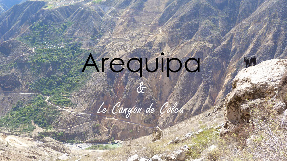 Canyon de Colca Arequipa