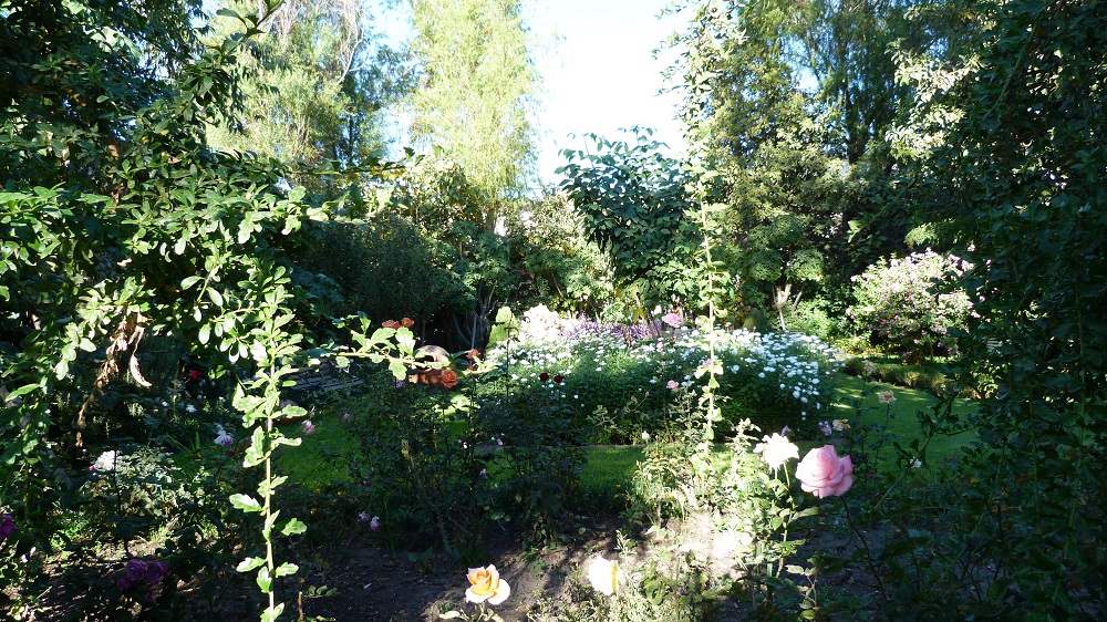 Jardin Santa Catalina
