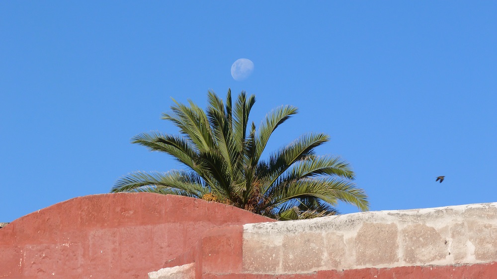 Lune Santa Catalina