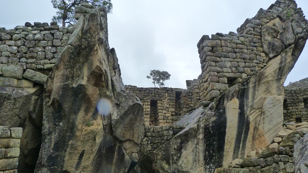 Machu Picchu temple condor