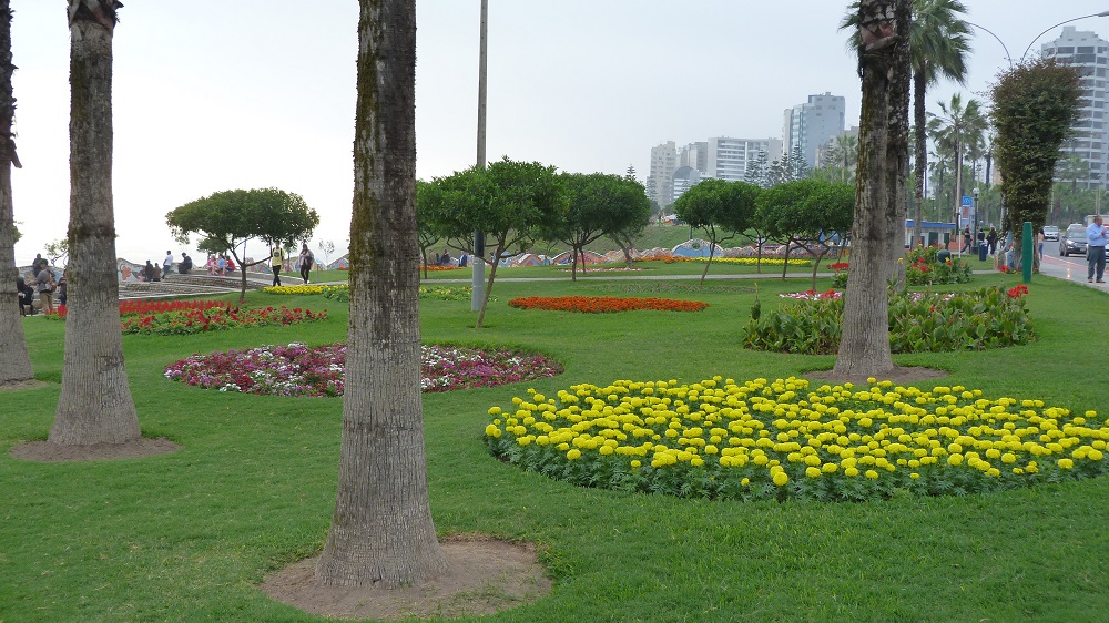 Miraflores fleurs