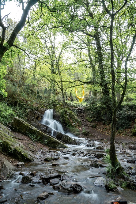 broceliande-arbre-or-val-sans-retour