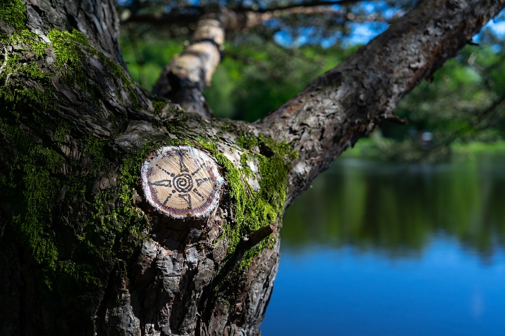 Broceliande etang marette