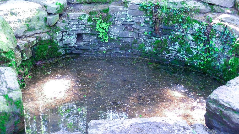 broceliande fontaine de jouvence