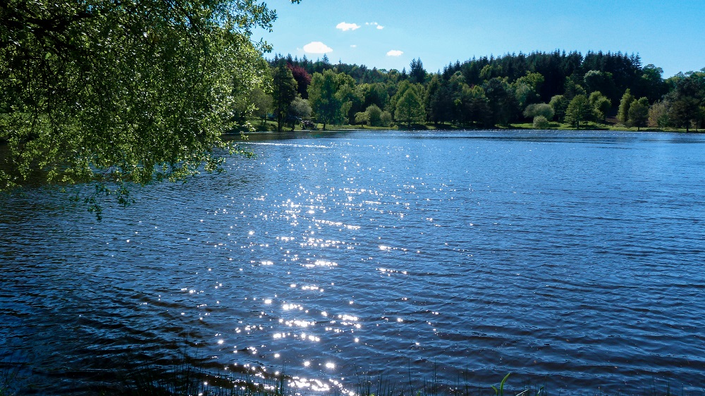 broceliande marette etang