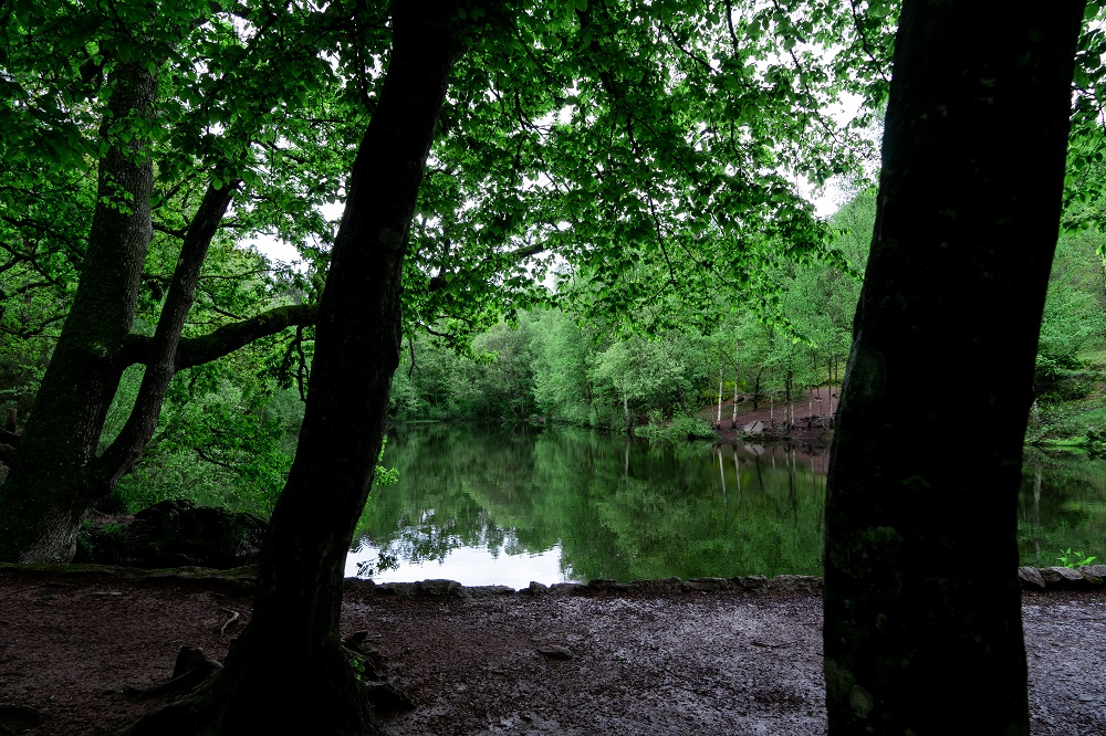 broceliande-miroir-fees-val-sans-retour