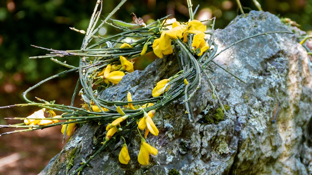 broceliande tombe merlin couronne