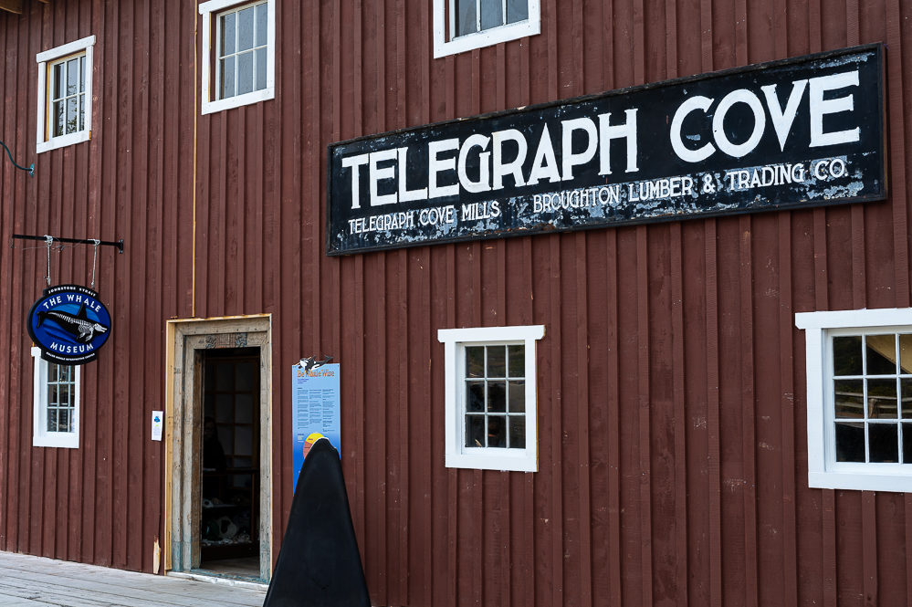 Telegraph Cove whale museum
