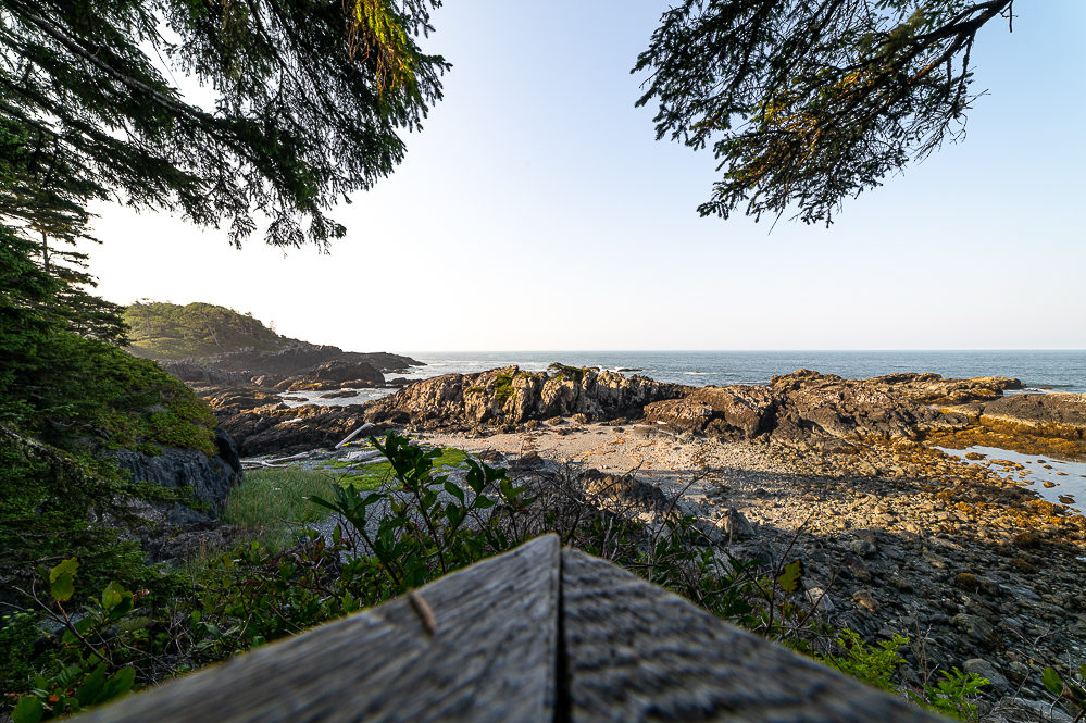 Ucluelet pacific wild trail 1