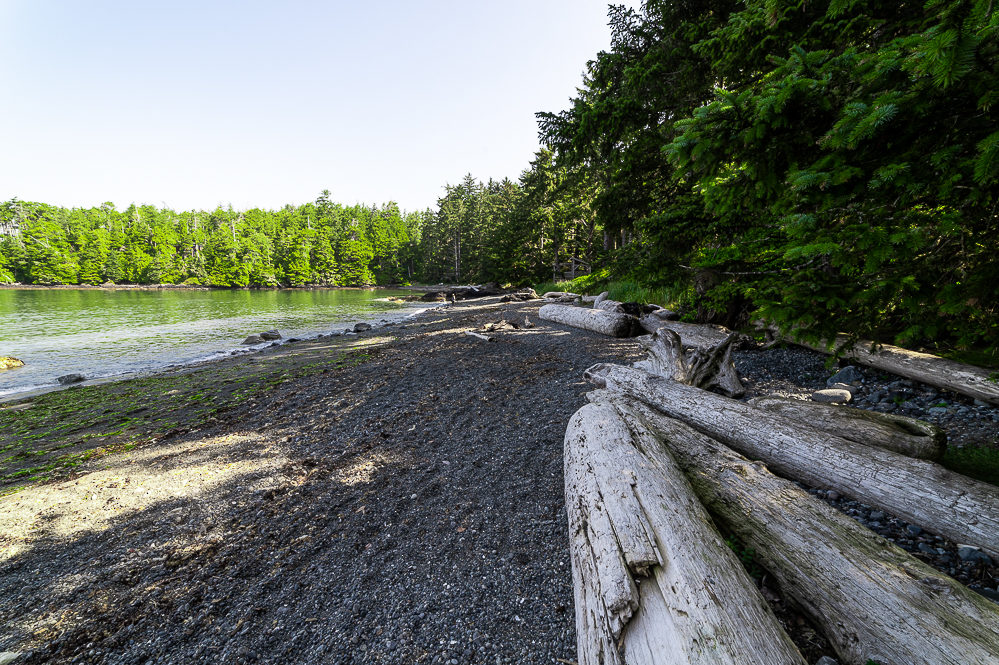 Ucluelet wild pacific trail terrace beach