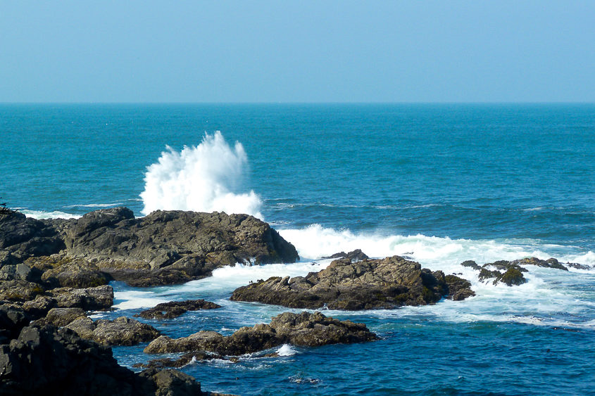 Ucluelet wild pacific trail vague