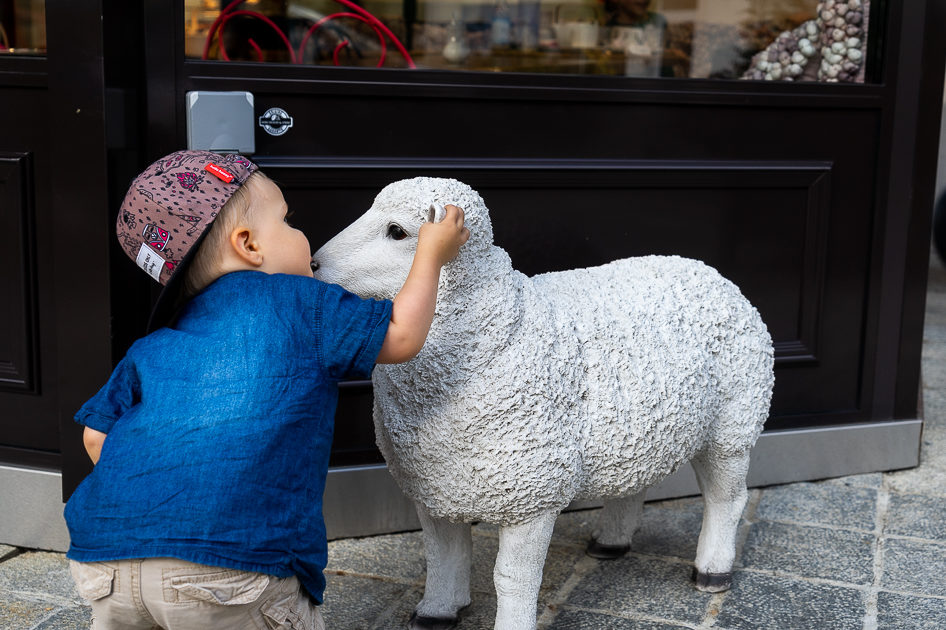 saint gervais les bains mouton