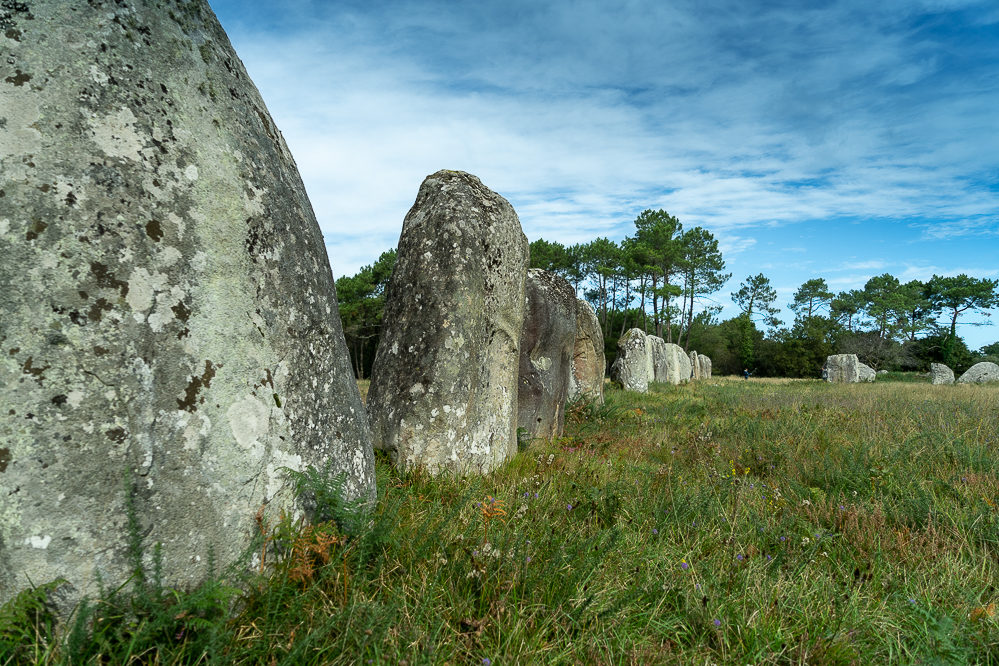 alignements menhirs