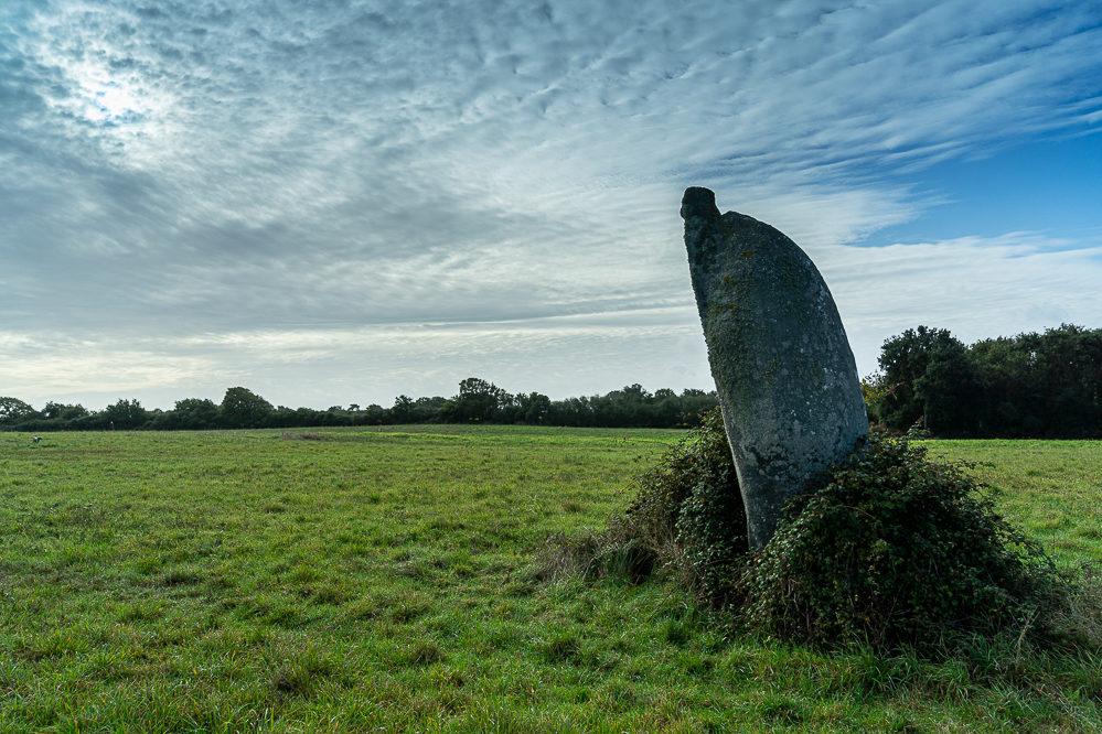 carnac menhir champs