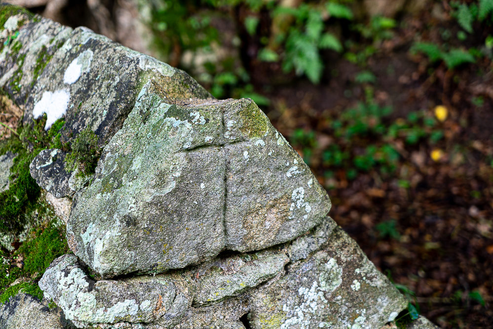 fontaine carnac