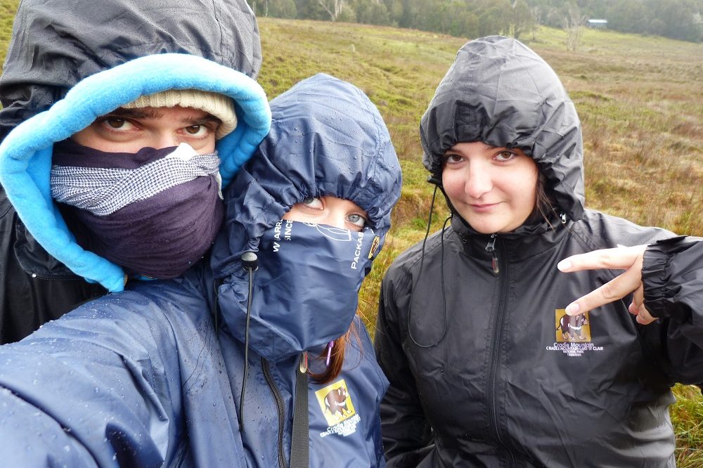 road trip cradle mountain equipe