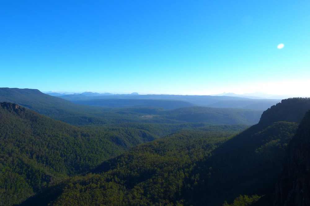 road trip cradle mountain foret