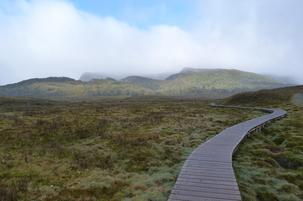 road trip cradle mountain sentier